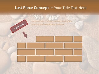 A Group Of Rocks Sitting On Top Of A Sandy Ground PowerPoint Template