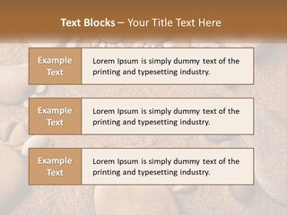 A Group Of Rocks Sitting On Top Of A Sandy Ground PowerPoint Template