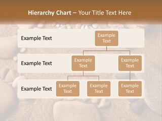 A Group Of Rocks Sitting On Top Of A Sandy Ground PowerPoint Template