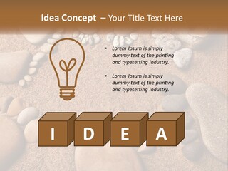 A Group Of Rocks Sitting On Top Of A Sandy Ground PowerPoint Template