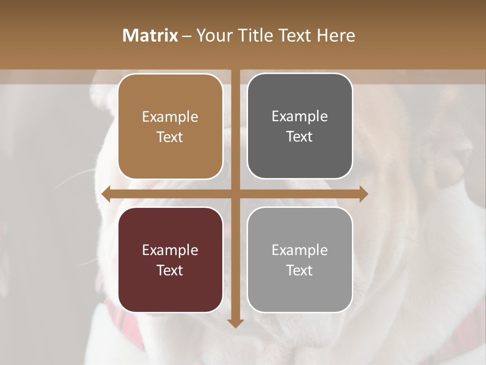 A Bulldog Is Sitting In A Stroller PowerPoint Template