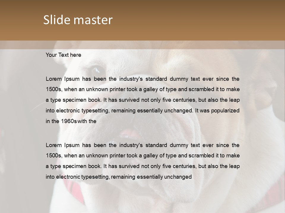 A Bulldog Is Sitting In A Stroller PowerPoint Template