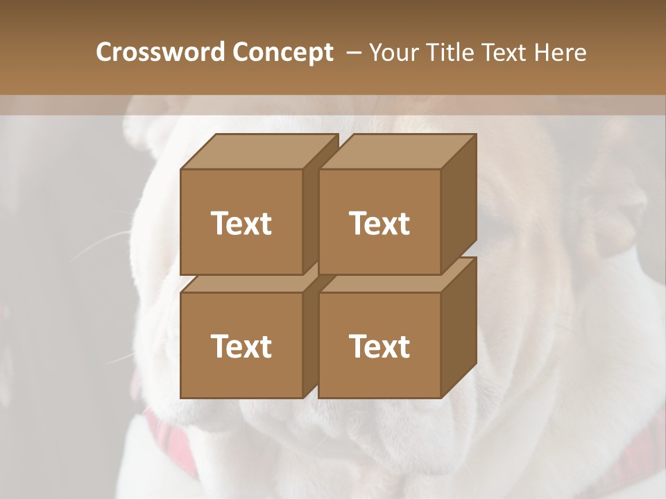 A Bulldog Is Sitting In A Stroller PowerPoint Template