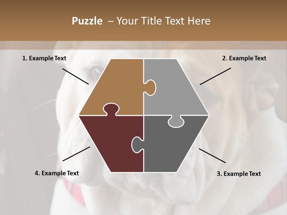 A Bulldog Is Sitting In A Stroller PowerPoint Template