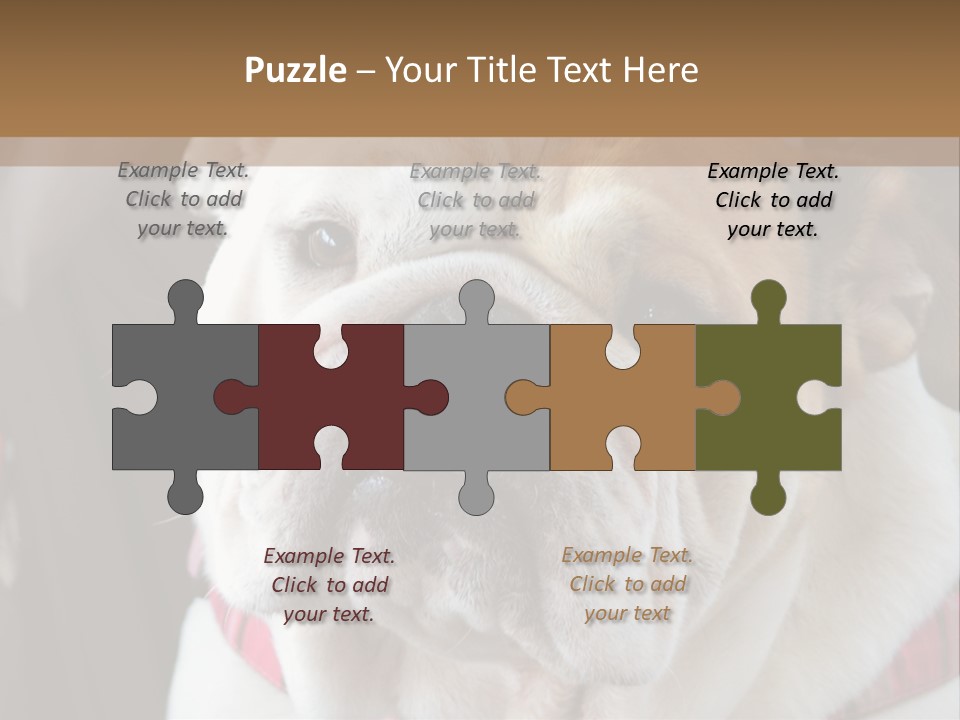 A Bulldog Is Sitting In A Stroller PowerPoint Template