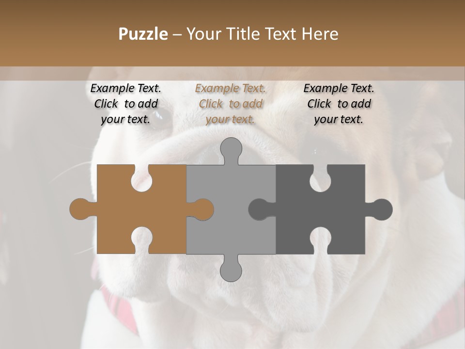 A Bulldog Is Sitting In A Stroller PowerPoint Template
