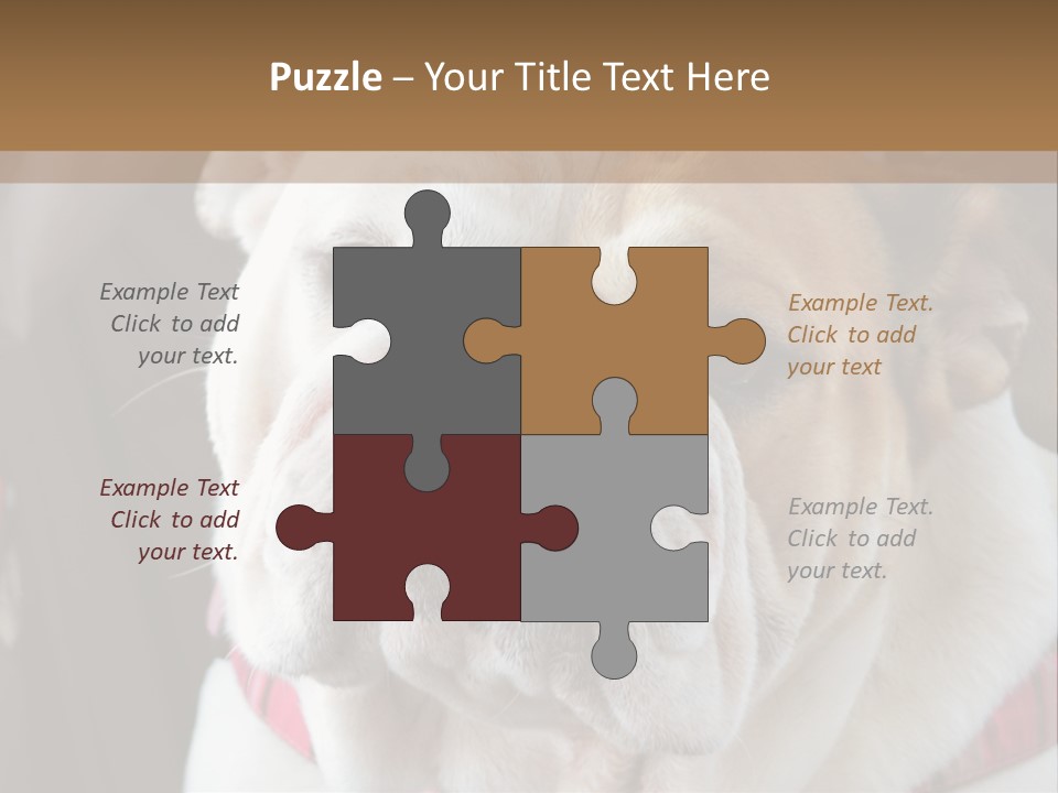 A Bulldog Is Sitting In A Stroller PowerPoint Template