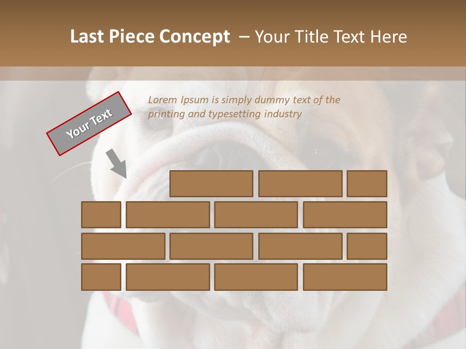 A Bulldog Is Sitting In A Stroller PowerPoint Template