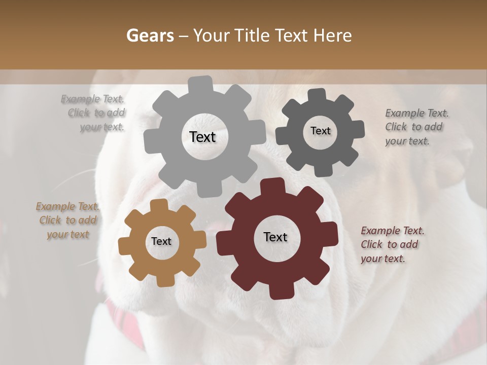 A Bulldog Is Sitting In A Stroller PowerPoint Template