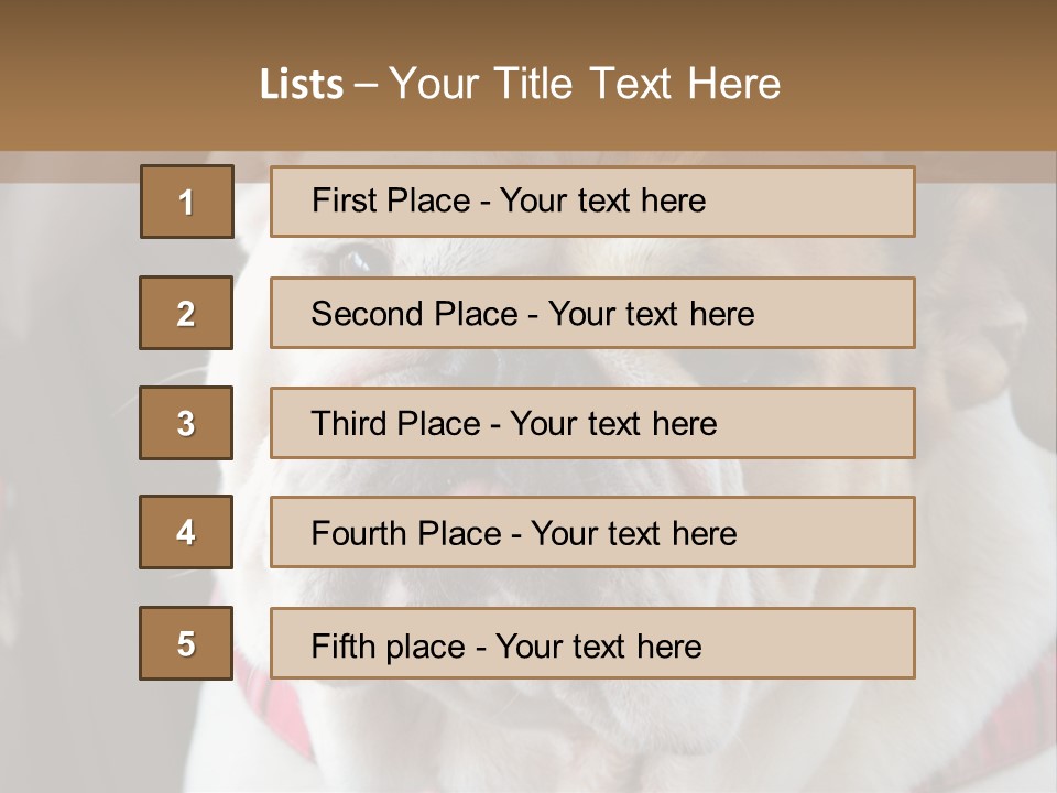 A Bulldog Is Sitting In A Stroller PowerPoint Template