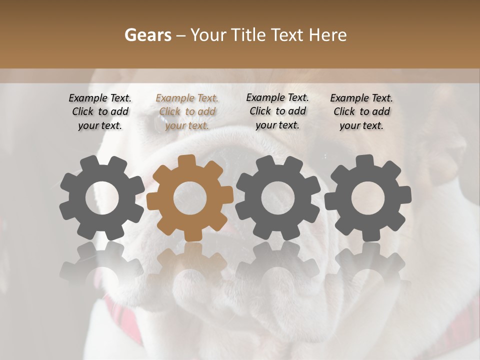 A Bulldog Is Sitting In A Stroller PowerPoint Template