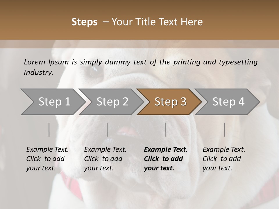 A Bulldog Is Sitting In A Stroller PowerPoint Template