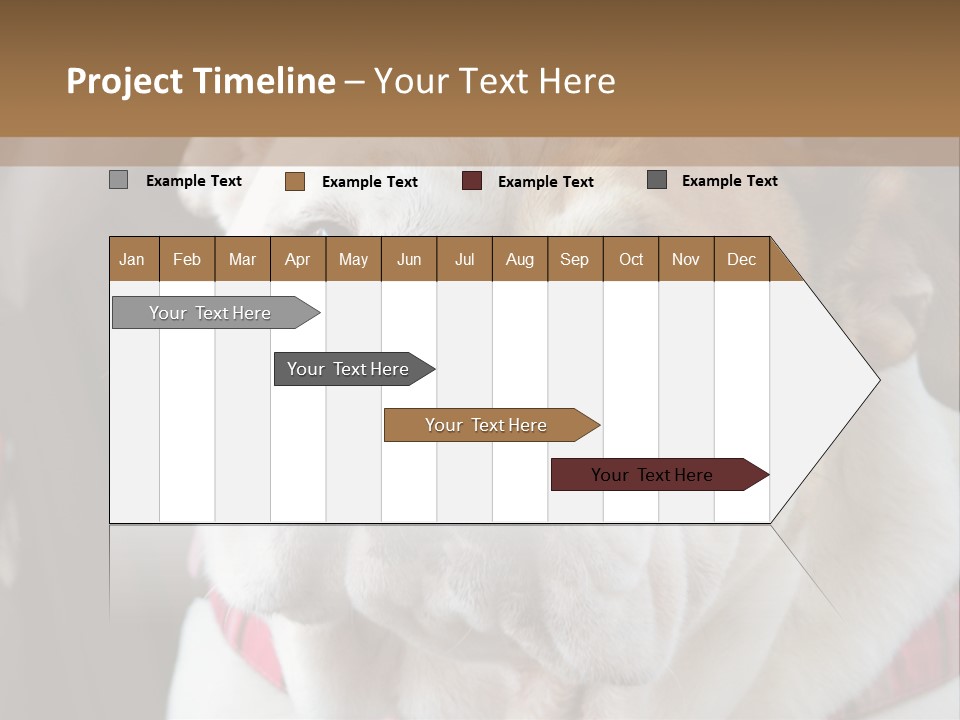A Bulldog Is Sitting In A Stroller PowerPoint Template