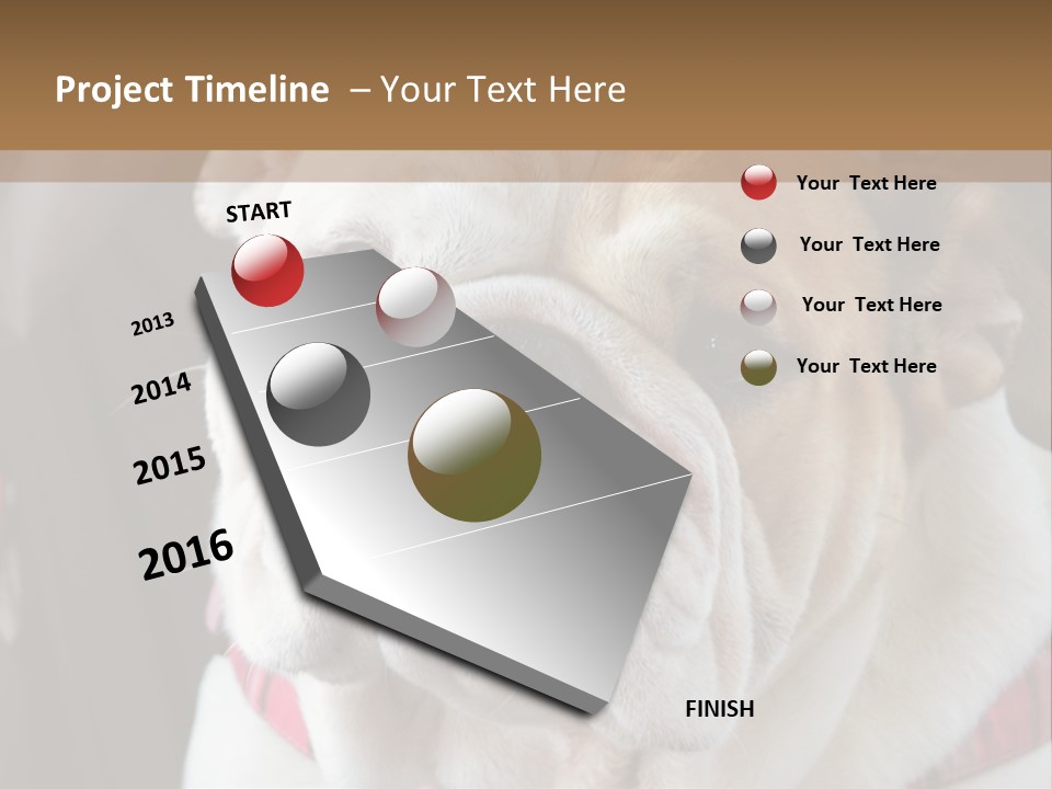 A Bulldog Is Sitting In A Stroller PowerPoint Template