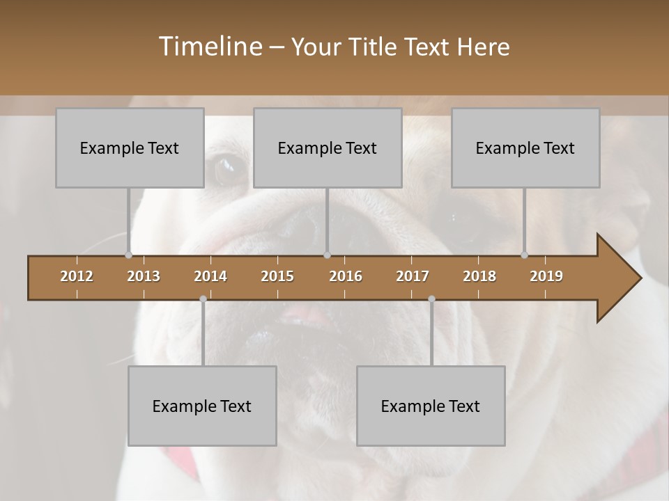 A Bulldog Is Sitting In A Stroller PowerPoint Template