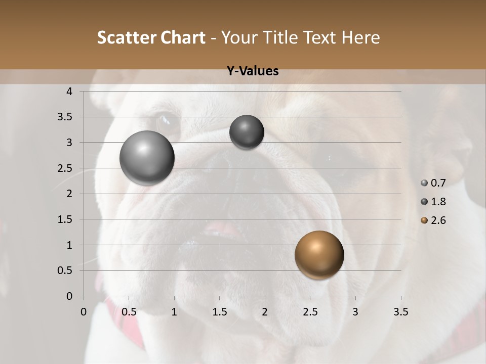 A Bulldog Is Sitting In A Stroller PowerPoint Template