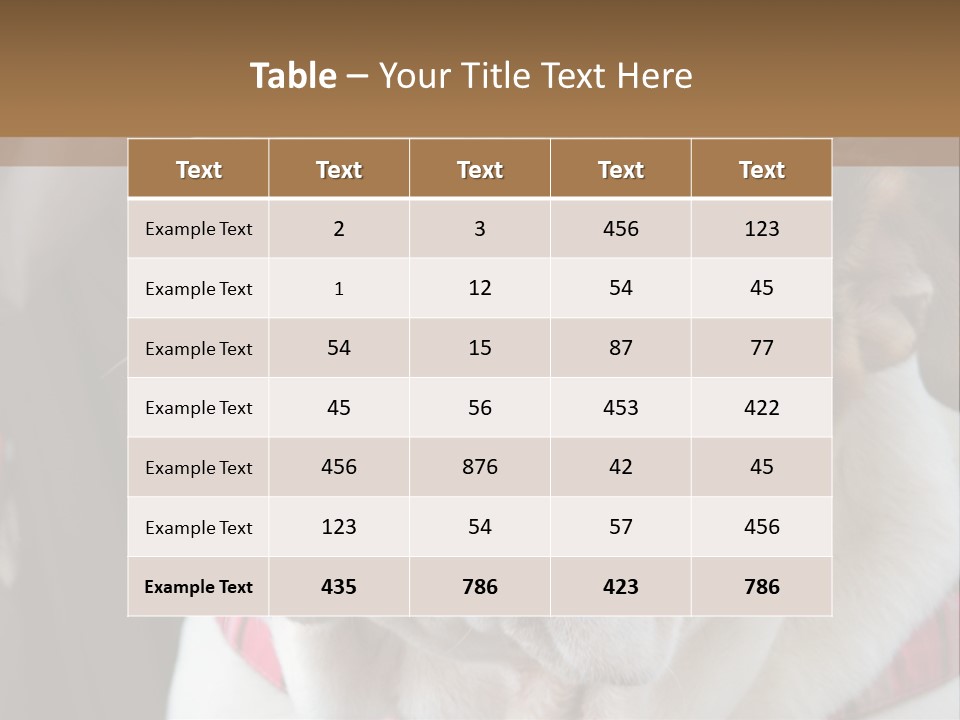 A Bulldog Is Sitting In A Stroller PowerPoint Template