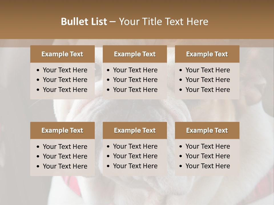 A Bulldog Is Sitting In A Stroller PowerPoint Template