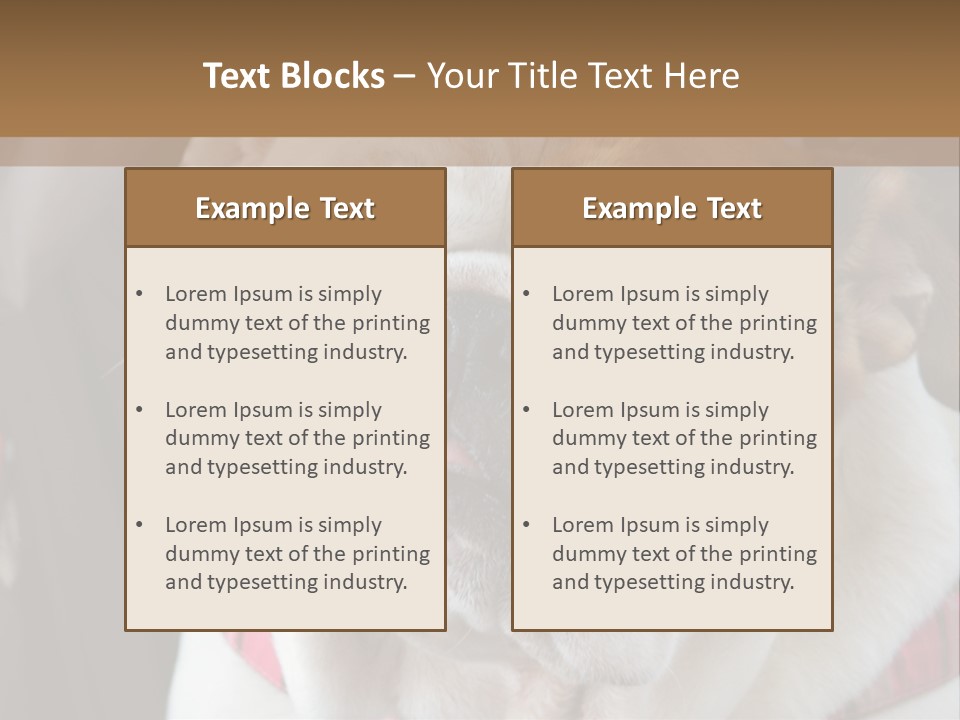 A Bulldog Is Sitting In A Stroller PowerPoint Template