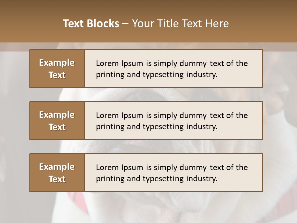 A Bulldog Is Sitting In A Stroller PowerPoint Template