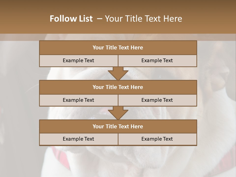 A Bulldog Is Sitting In A Stroller PowerPoint Template