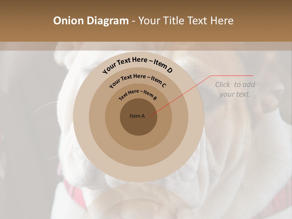 A Bulldog Is Sitting In A Stroller PowerPoint Template