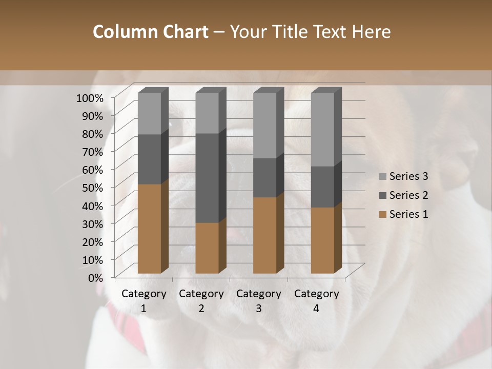 A Bulldog Is Sitting In A Stroller PowerPoint Template