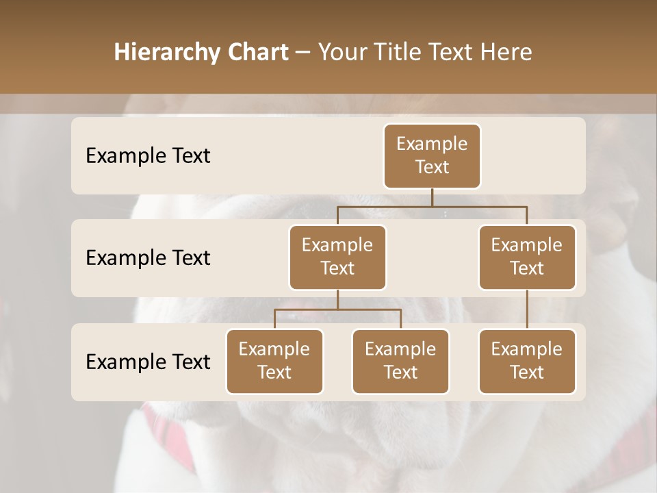 A Bulldog Is Sitting In A Stroller PowerPoint Template