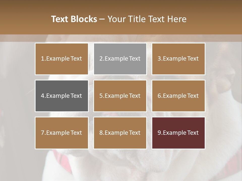 A Bulldog Is Sitting In A Stroller PowerPoint Template