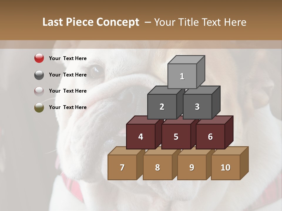 A Bulldog Is Sitting In A Stroller PowerPoint Template