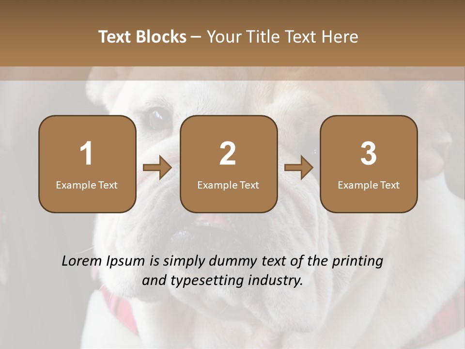 A Bulldog Is Sitting In A Stroller PowerPoint Template