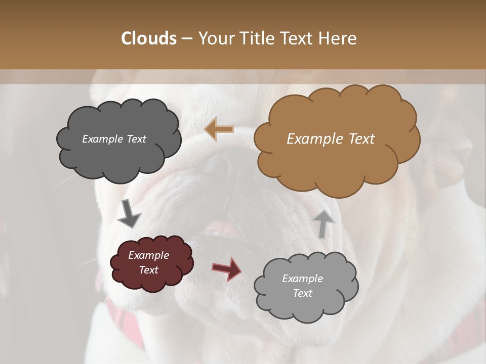 A Bulldog Is Sitting In A Stroller PowerPoint Template