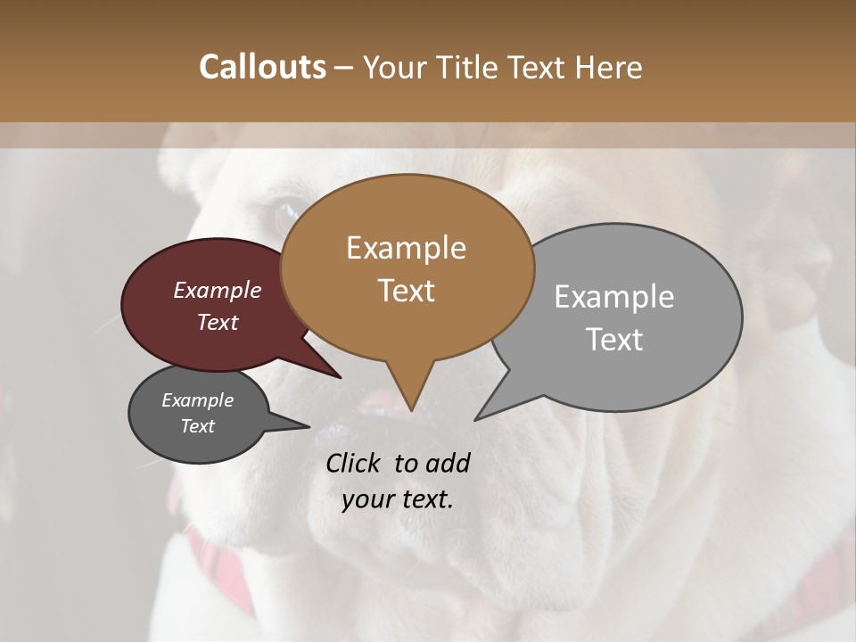 A Bulldog Is Sitting In A Stroller PowerPoint Template
