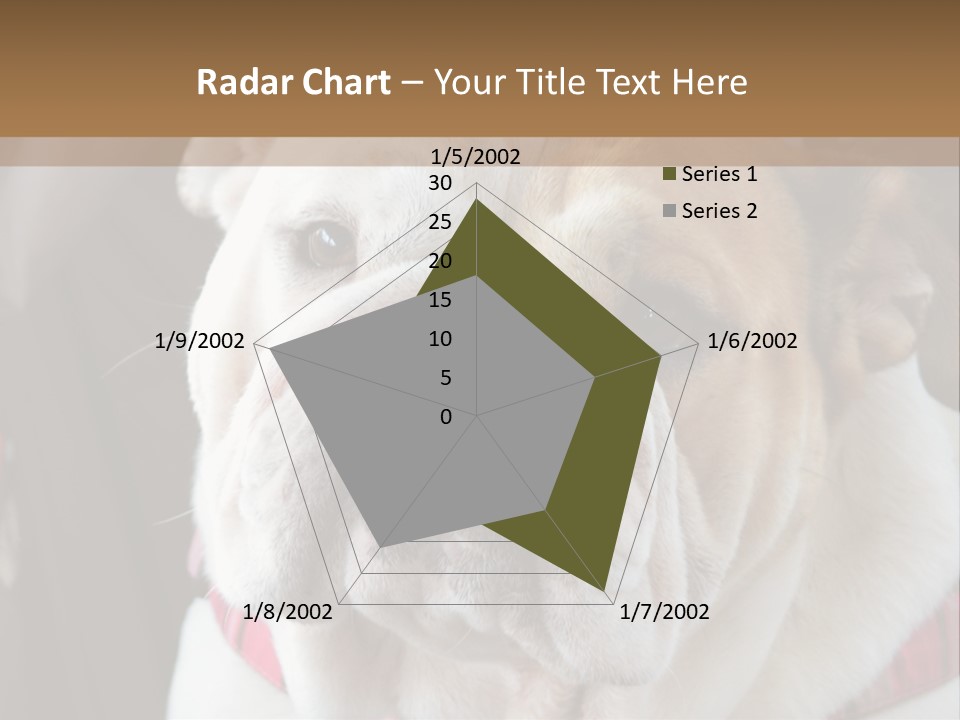 A Bulldog Is Sitting In A Stroller PowerPoint Template