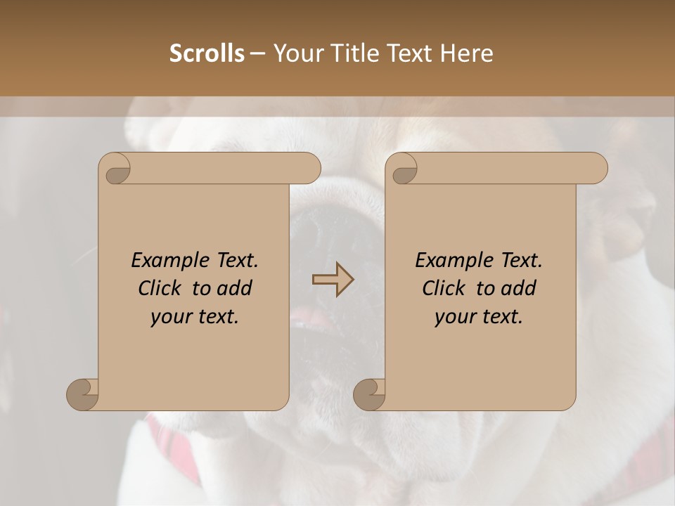 A Bulldog Is Sitting In A Stroller PowerPoint Template