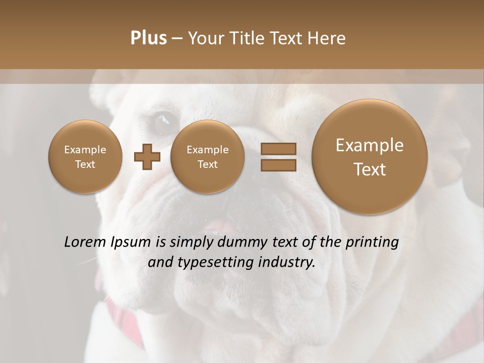 A Bulldog Is Sitting In A Stroller PowerPoint Template