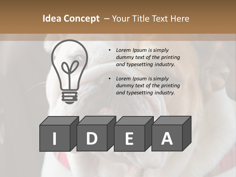 A Bulldog Is Sitting In A Stroller PowerPoint Template