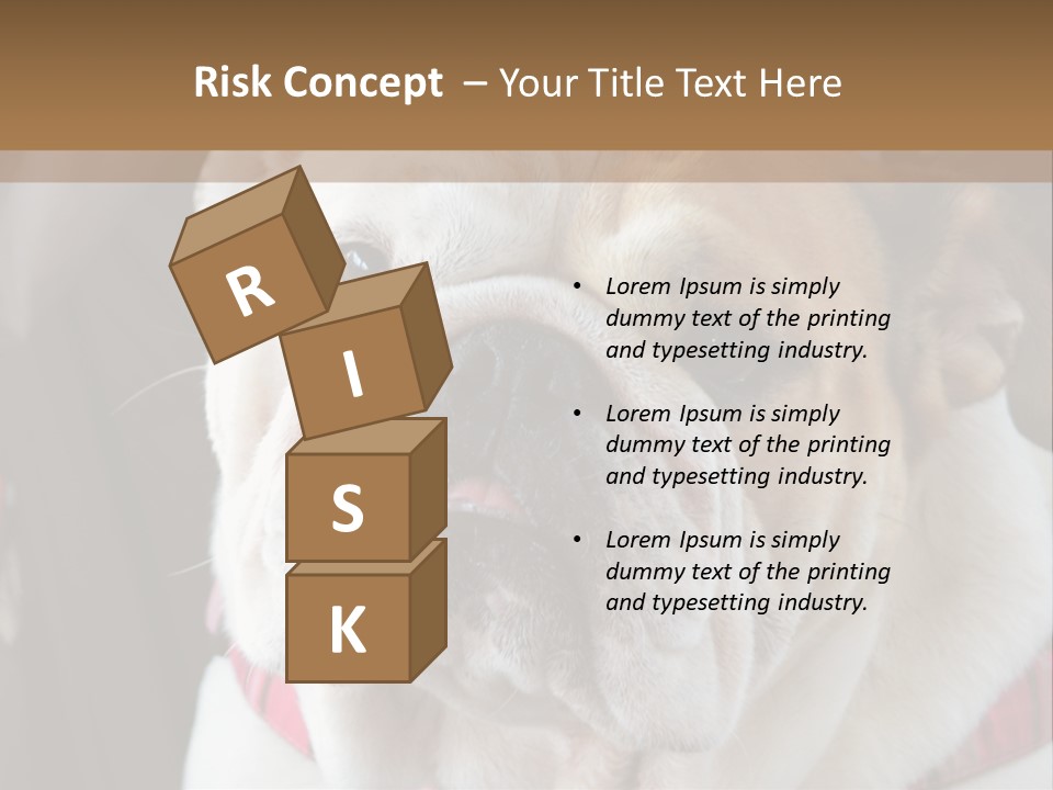 A Bulldog Is Sitting In A Stroller PowerPoint Template