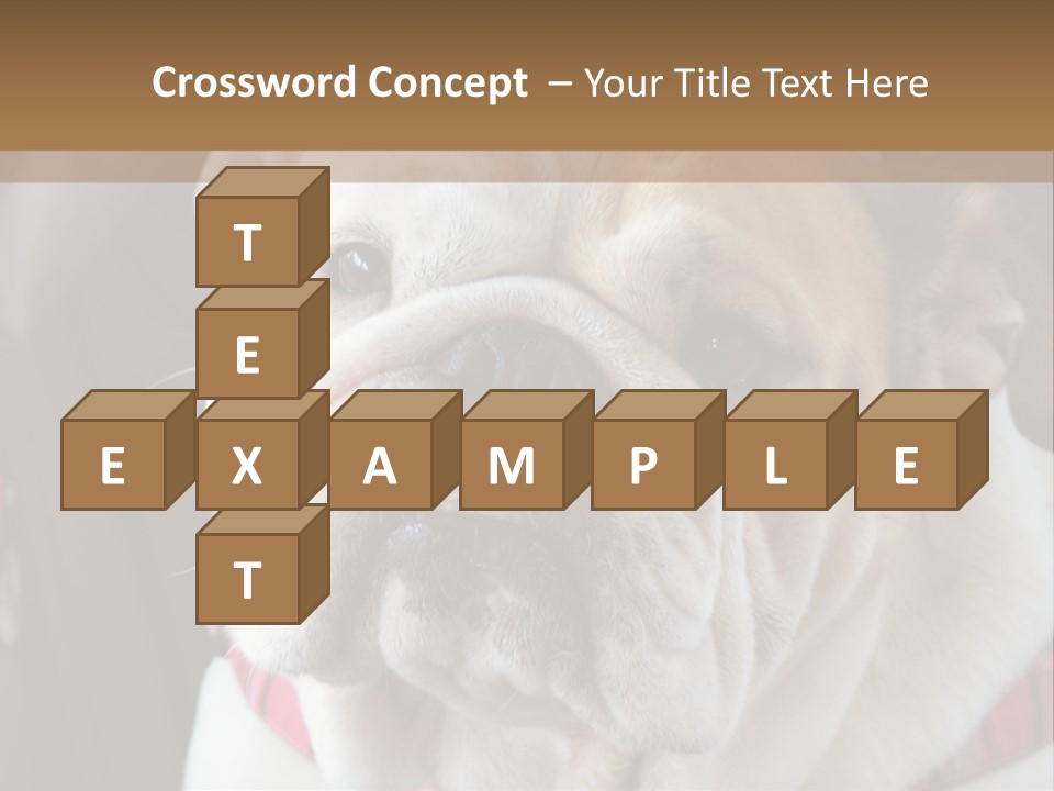 A Bulldog Is Sitting In A Stroller PowerPoint Template