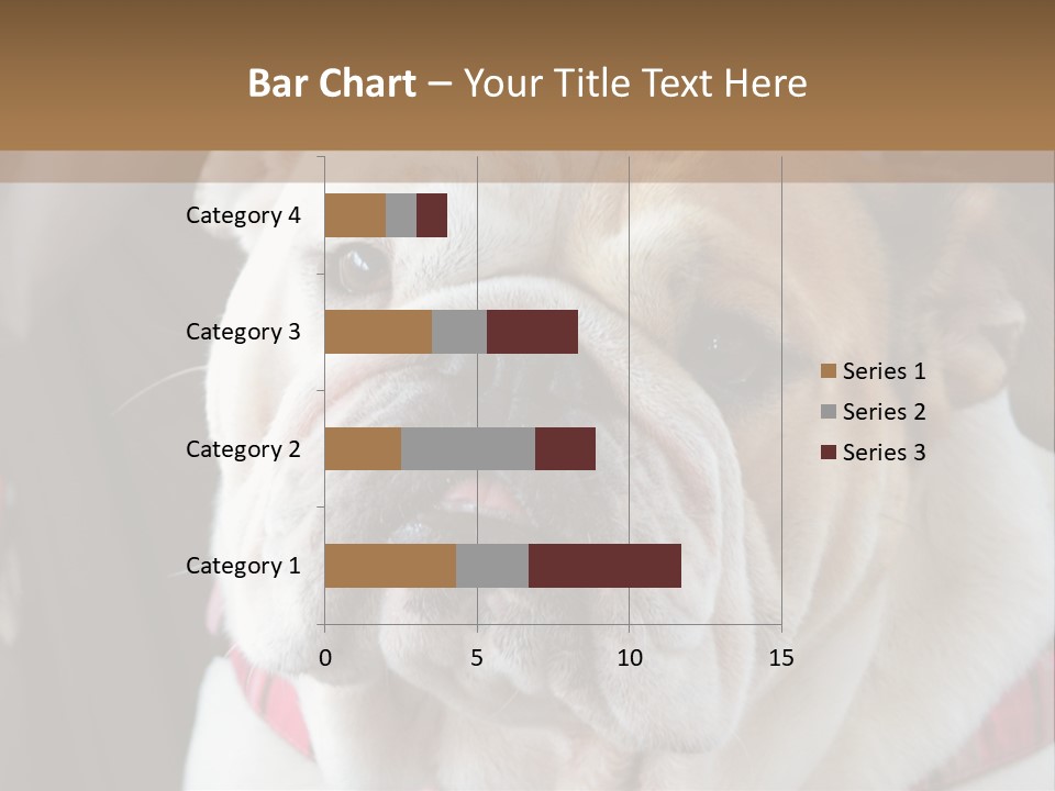 A Bulldog Is Sitting In A Stroller PowerPoint Template