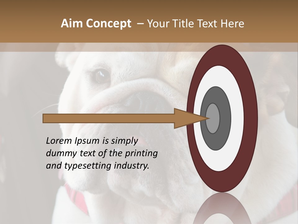 A Bulldog Is Sitting In A Stroller PowerPoint Template