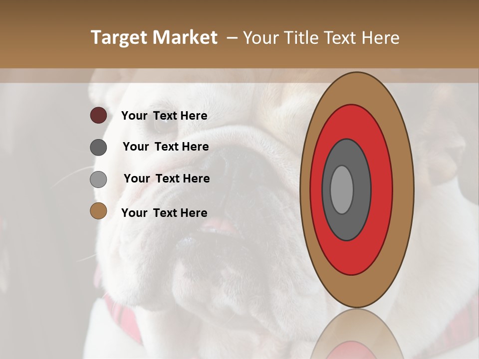 A Bulldog Is Sitting In A Stroller PowerPoint Template