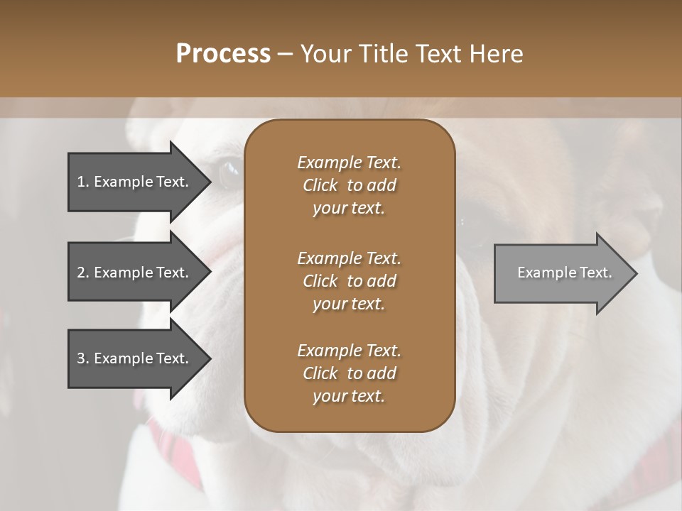 A Bulldog Is Sitting In A Stroller PowerPoint Template