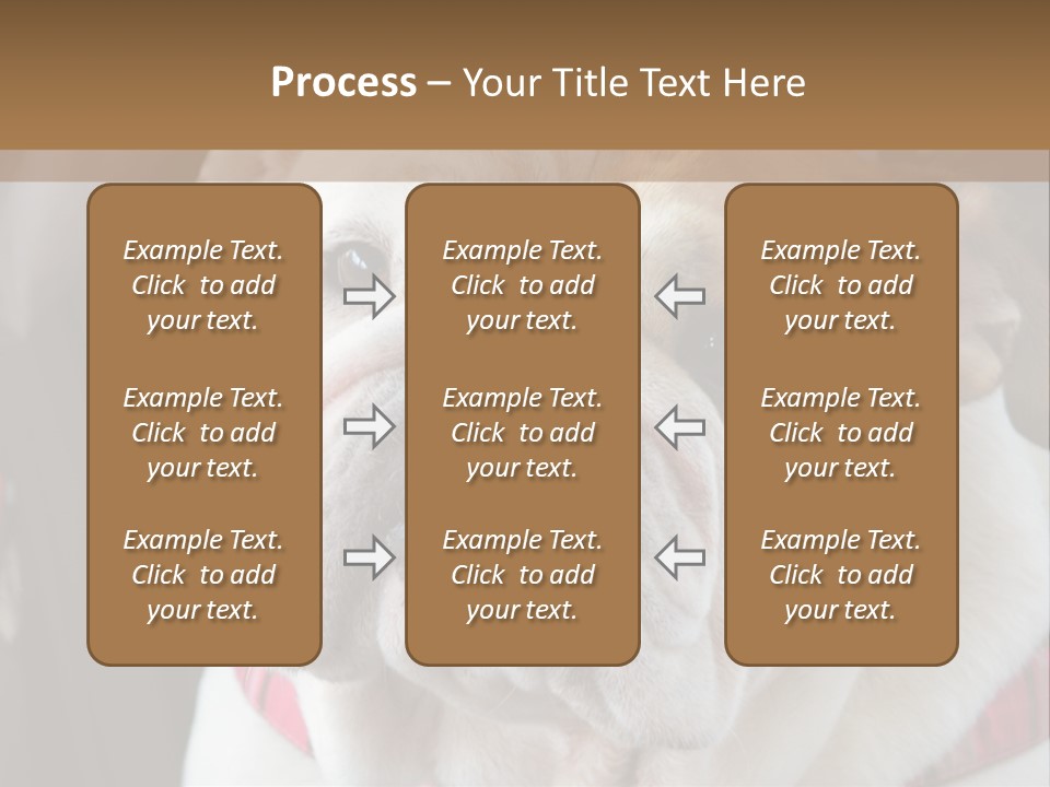 A Bulldog Is Sitting In A Stroller PowerPoint Template