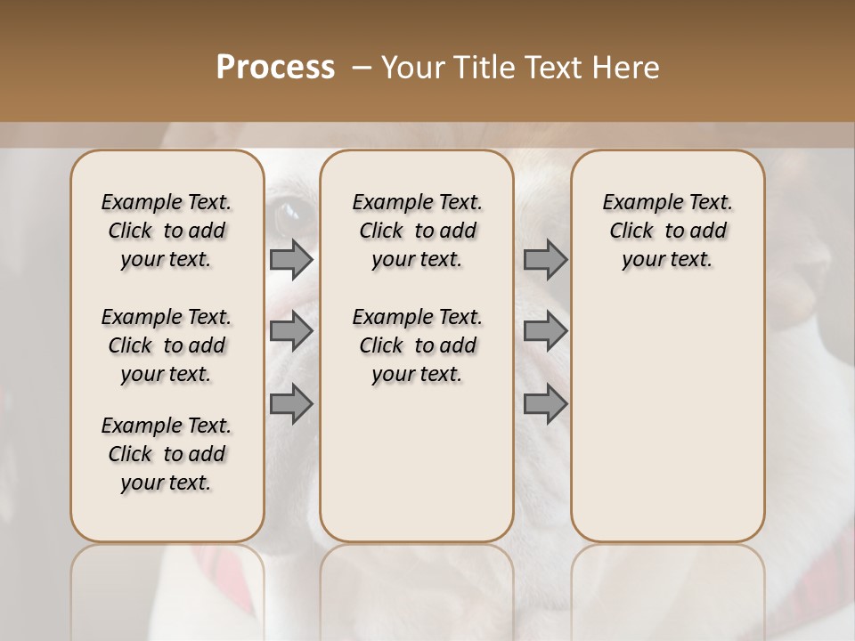 A Bulldog Is Sitting In A Stroller PowerPoint Template