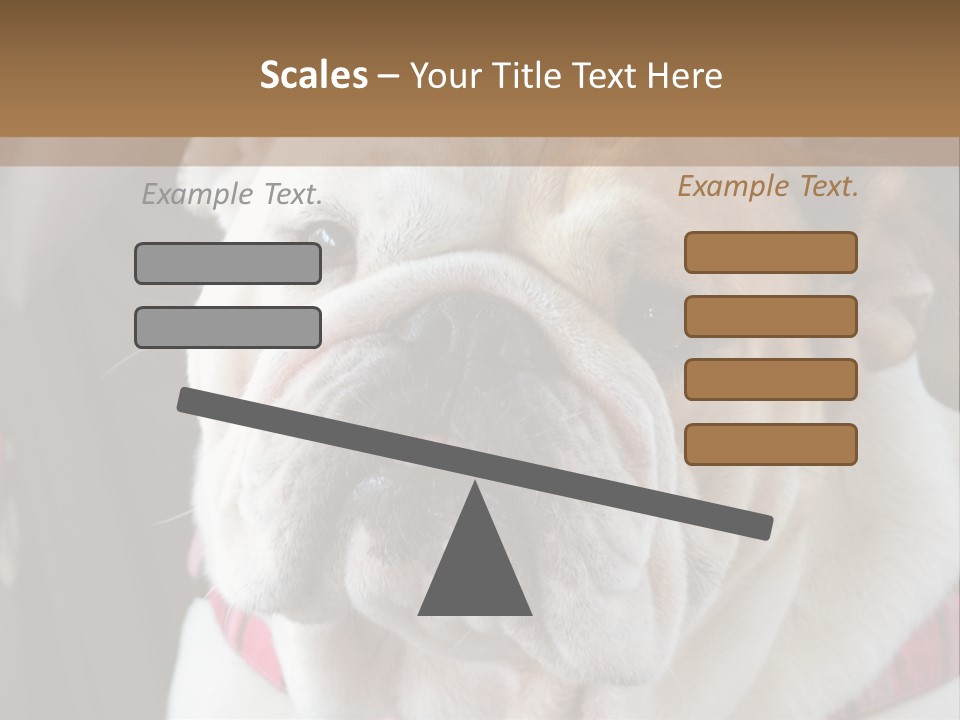 A Bulldog Is Sitting In A Stroller PowerPoint Template