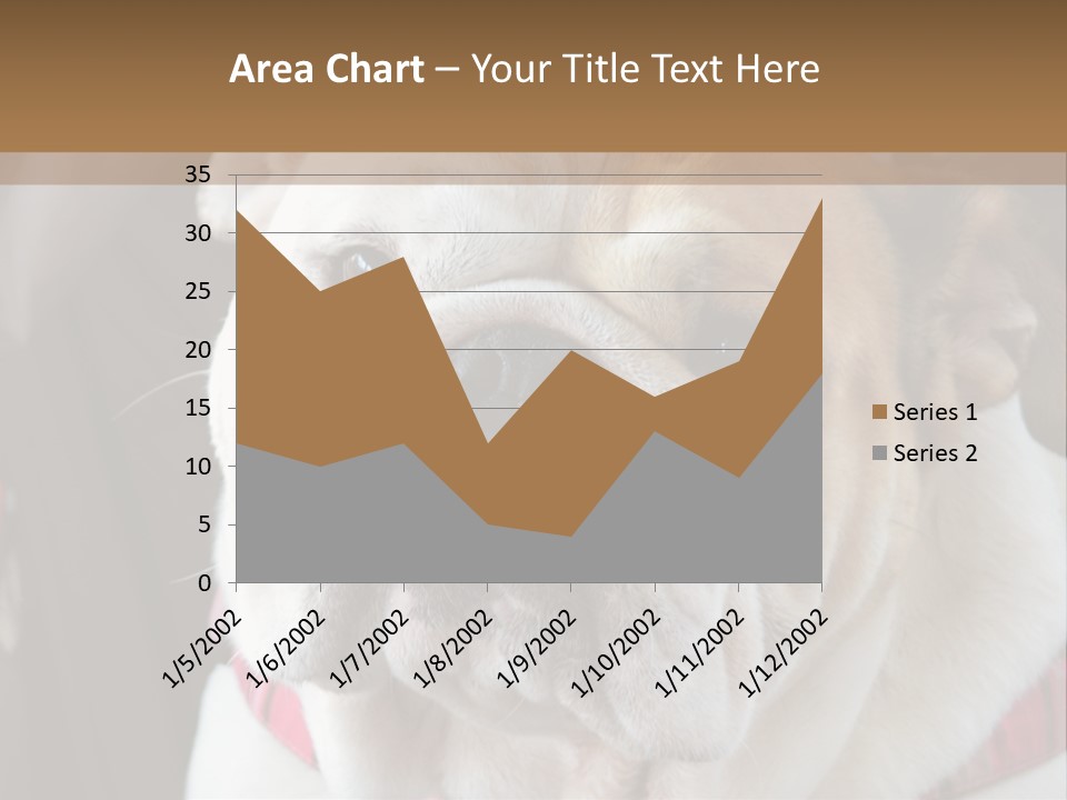A Bulldog Is Sitting In A Stroller PowerPoint Template