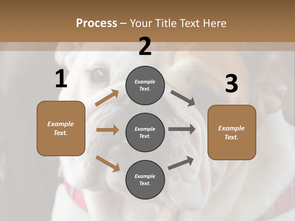 A Bulldog Is Sitting In A Stroller PowerPoint Template
