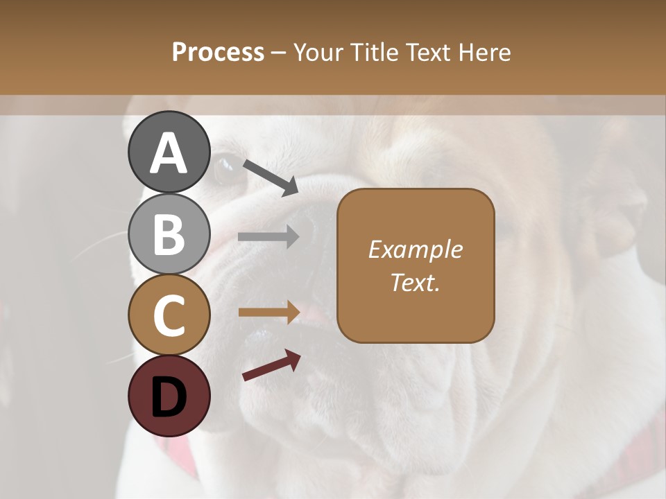 A Bulldog Is Sitting In A Stroller PowerPoint Template