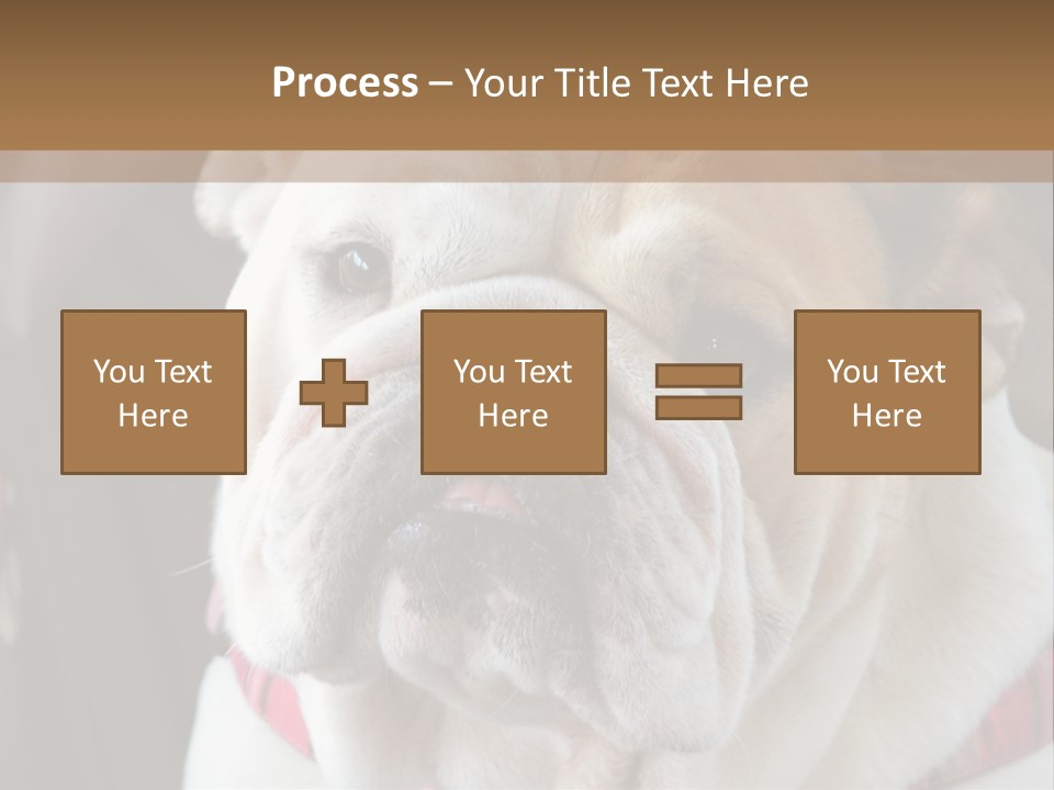 A Bulldog Is Sitting In A Stroller PowerPoint Template